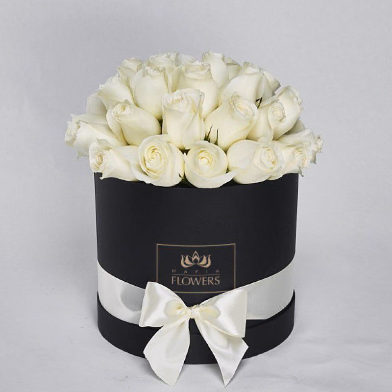 5b1bf0cdd40ed941a2aed94c3dc6a0bd.avif
