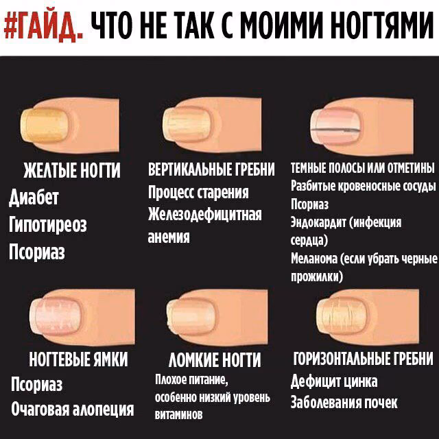 5b33b1e39fb206016559ccd0eba064b7.jpg