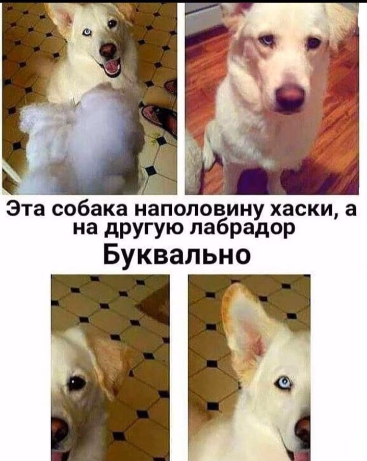 5b48430d5c4e21828e5d63ca8a702154.avif