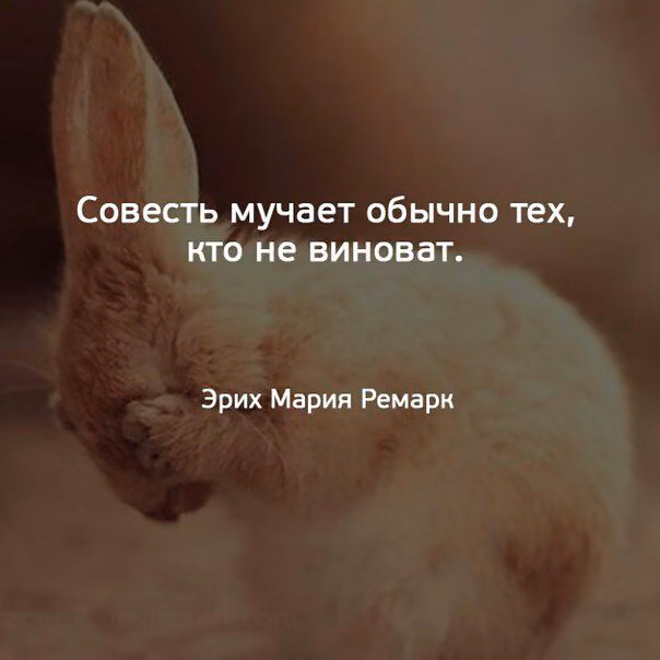 5b5e023f61c793d7318c743e8804051e.jpg