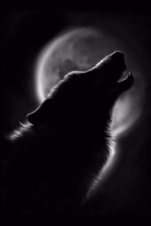 5b6f5d6e364df6b9a0830708e5064cd3.jpg