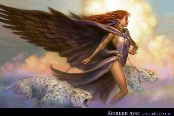 5b7806a8df4b85aadb4454ab5cbe362a.avif