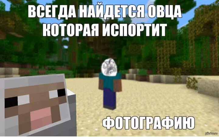 5b827eafb6d1ffb7da6a311825d21a3e.jpg