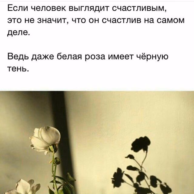 5b8644dfeb05c3d83f104e294508d358.jpg