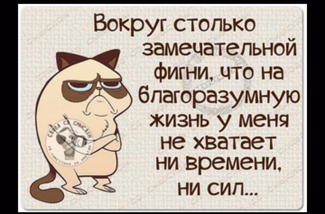 5b8c1fa95ca78e8aaa11ea559e3f2772.jpg