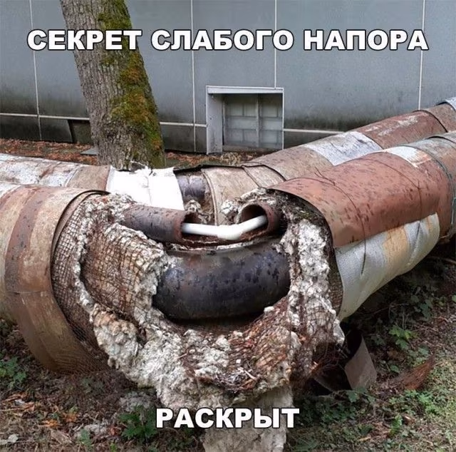 5b91a5e22a43442febded4fdcd609a96.avif
