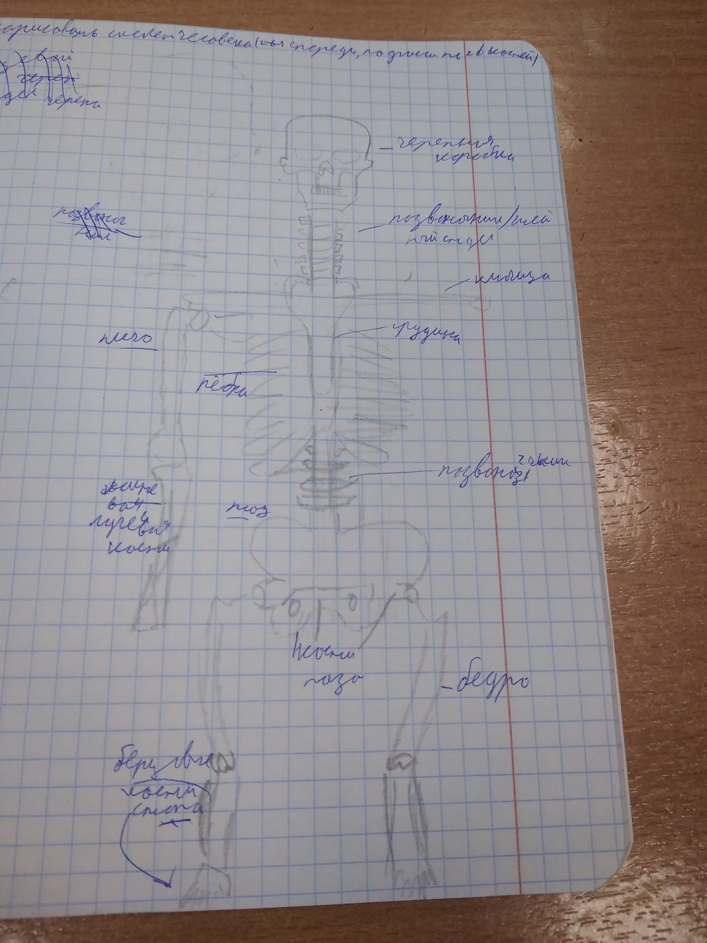 5bbd89789f15fa43efcaaea16007f0f6.avif