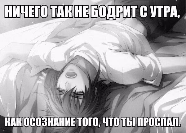 5bc990e47020dc881de6183f73f1811d.avif