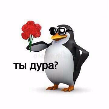 42a8842b759f37aff36dd4db9df001a2.jpg