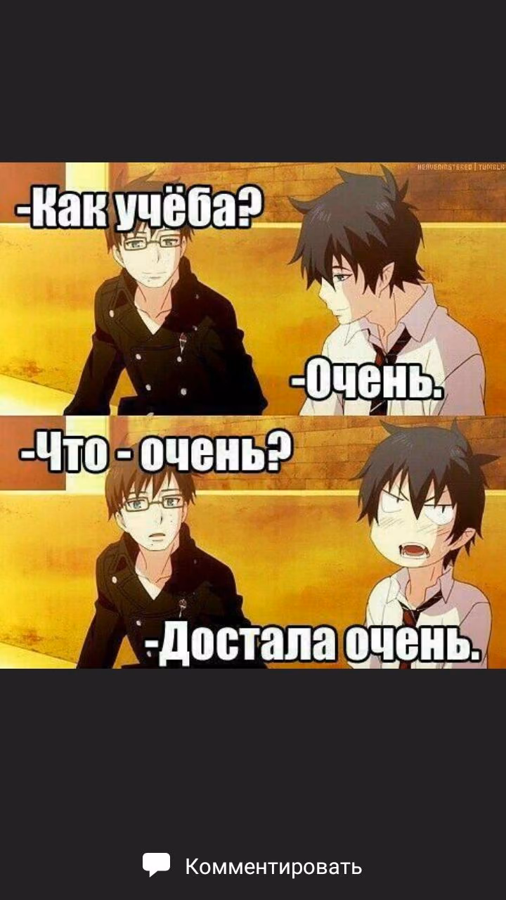 5be64ebef80781054c26b445d21d8490.avif
