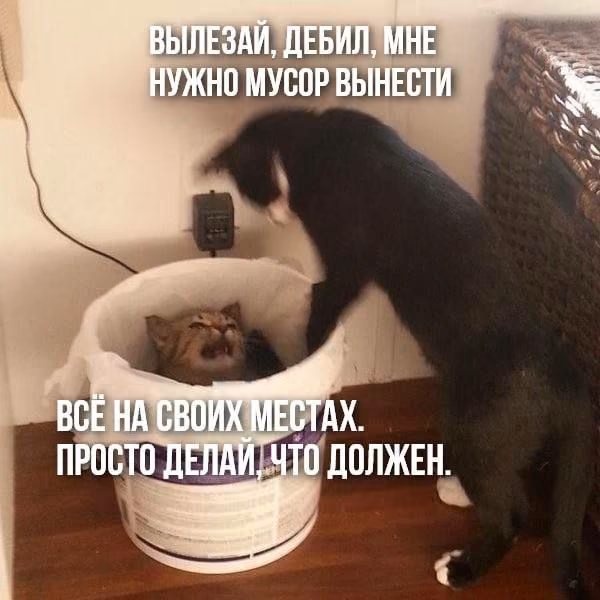 5bf56fd5a8a25790f042ff0c6aee300e.avif