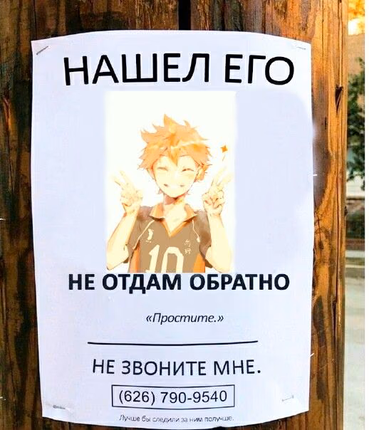 5bf69ed019bc9b829fc0d65a09034274.jpg