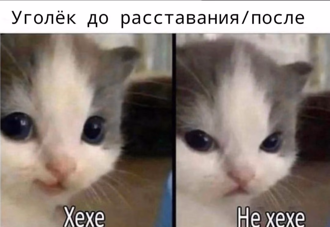 5bfb0f89f06d66ea3a61f9e28214a0fd.avif