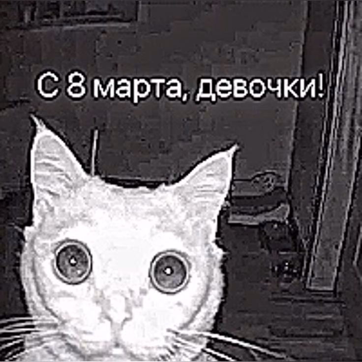 5bff4b54f6548e9dc6674eb1fa35ce53.jpg
