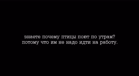 5c00c02dbf157b9a222ca21a2958b7ca.jpg