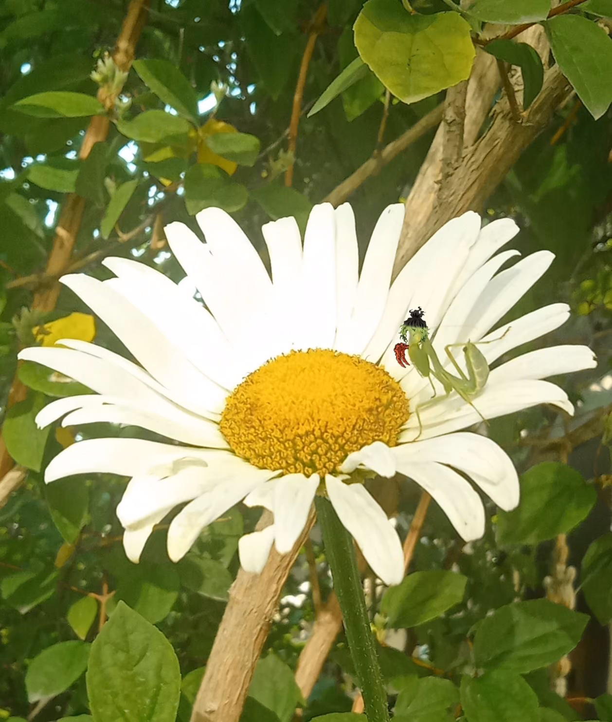 5c08cbb690f93877071903f8af119165.jpg