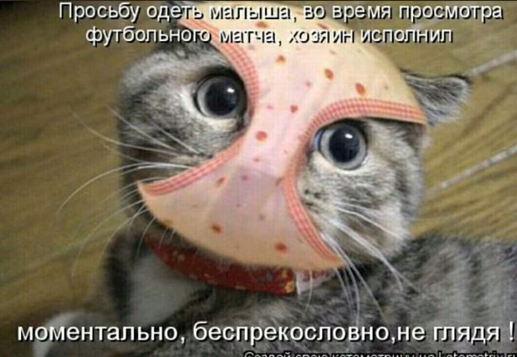 5c0cef30ea53863ac9f21a9a48d5dfc9.jpg