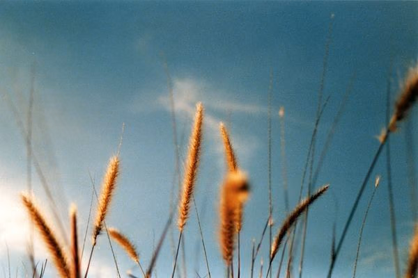 5c16651a222432e1d7aa59fb7b3a345e.avif