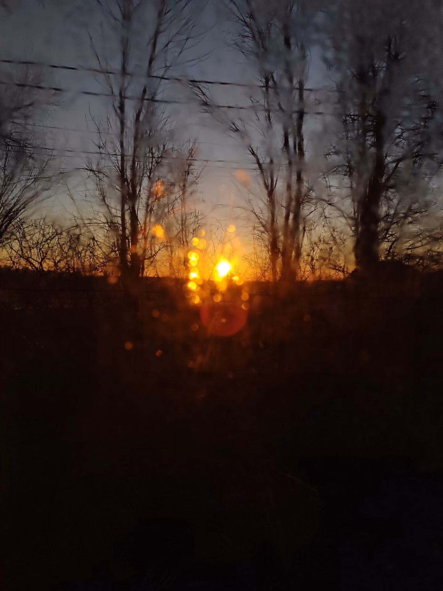 5c1683f32af22ffa1e854c33ebcb683d.jpg
