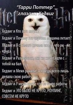 5c4161da40e8bf9e4ac999bdd85c2209.avif