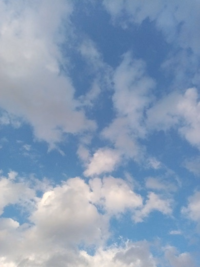 5c461d3a9ec66f5c8c97dc995ea3f010.jpg
