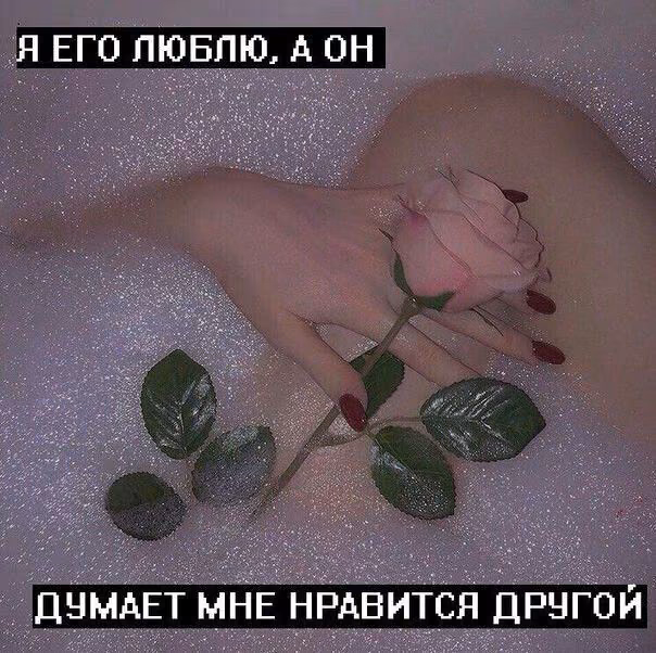 5c473d8875d5f7108c4e1c27c74ffb0c.avif