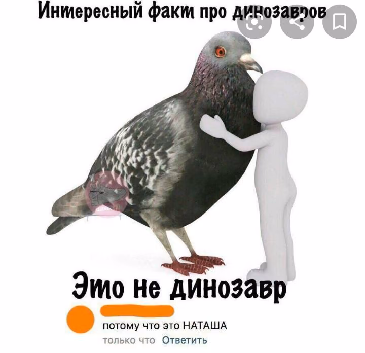 5c5ef1f3dd775c723ddf6067bf62d654.jpg
