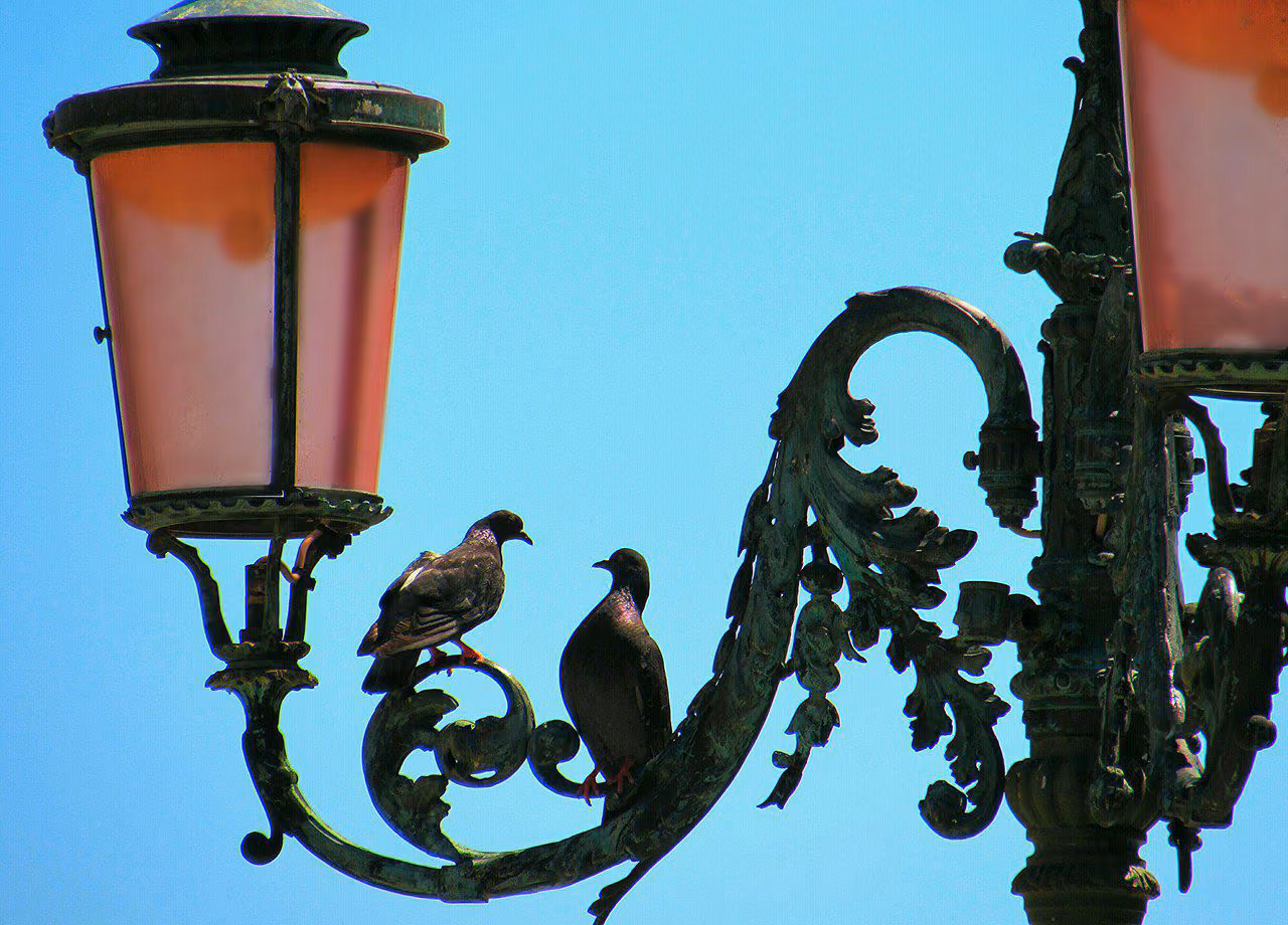 5c602d43e9e2fefd3b02467c1398ce51.avif
