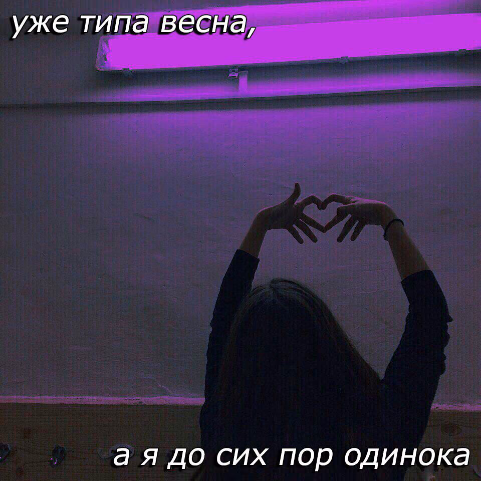 5c629eab59ecafd58686600c70ceb538.jpg