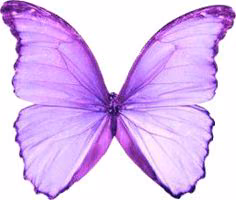 5c6ed22c1c6125b04423d7d4763872dd.avif