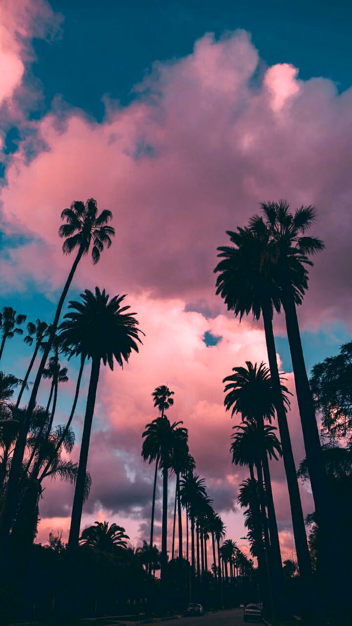 5c6f2cda42c492700b110ff7e43e628b.avif