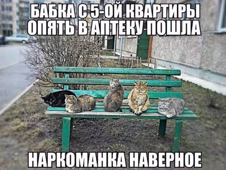 5c78f652b16829586cb94d198a64ef0e.avif