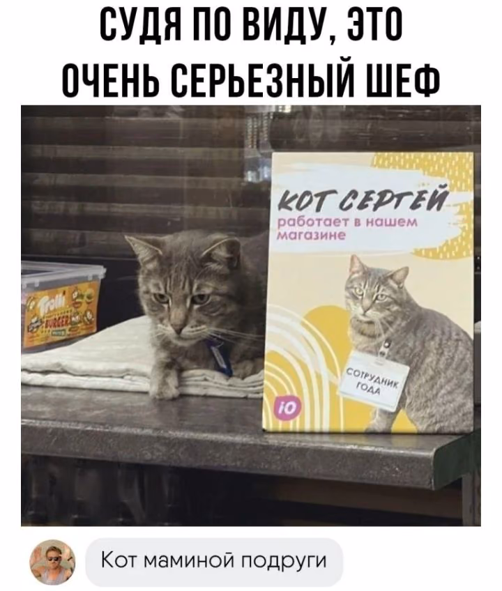 5c85a104297cded55b2490454613935e.jpg