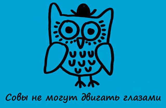 5c903c94ebda5b4cfe8f18b4b3e26bef.avif
