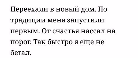 5c9b0f1db5201223900ab251cf087667.jpg