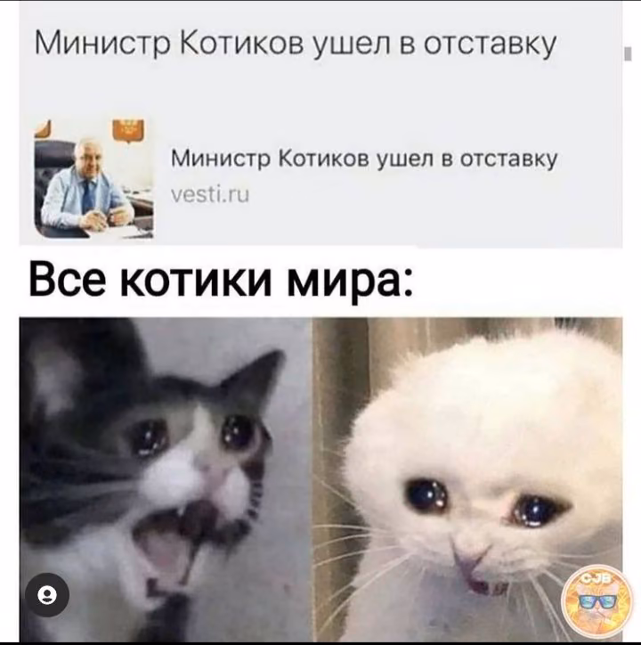 5c9bbecf834d38f825b130385d0f4cde.avif