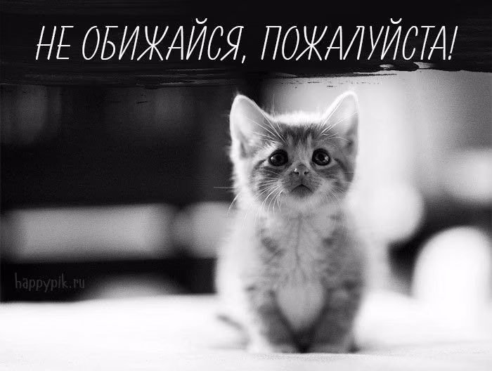 5ca721701ea263060abce3522750b1c6.avif