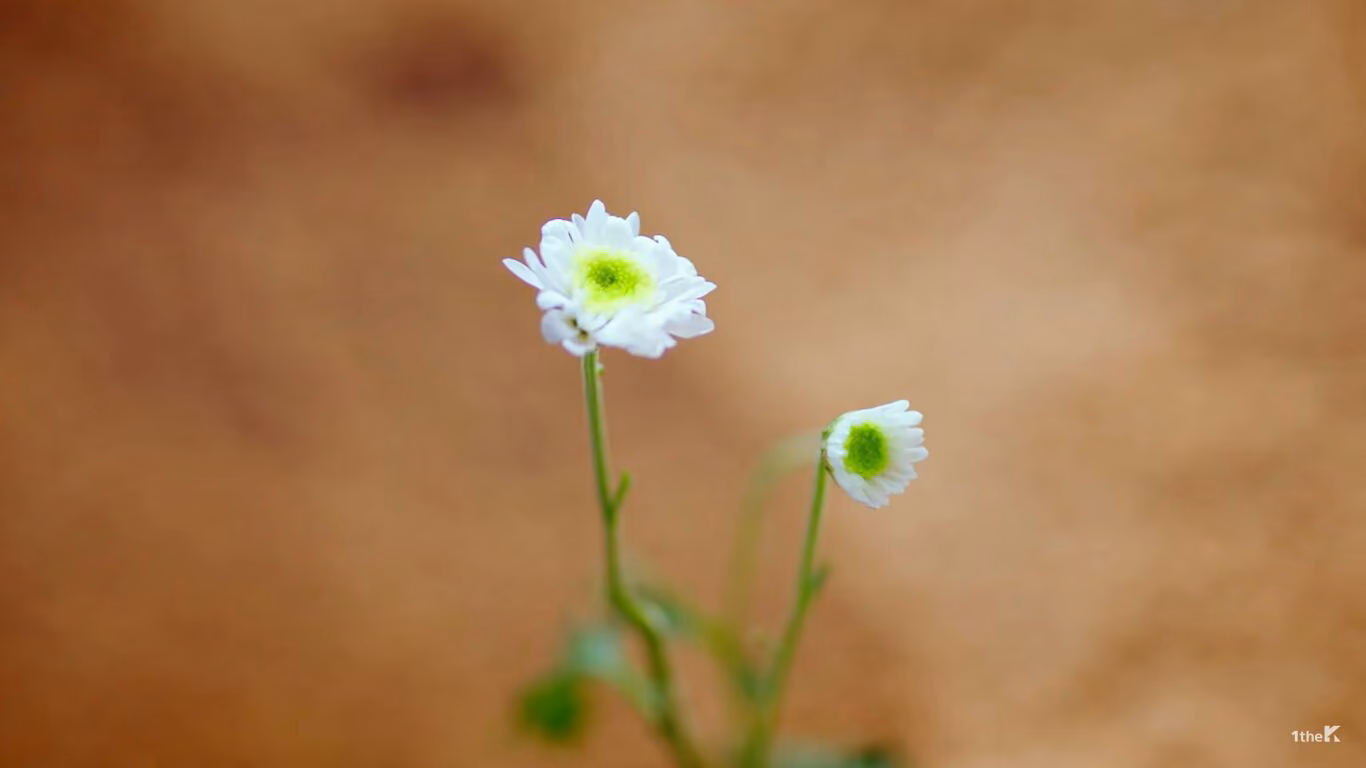 5cc3c5fedfe029e495a532cb50bf339c.jpg