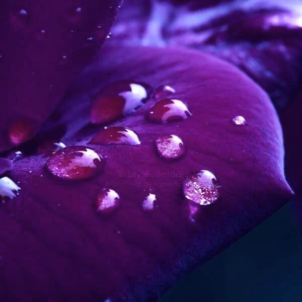 5cc98a1fc42df6105124bb16f7d117a8.jpg