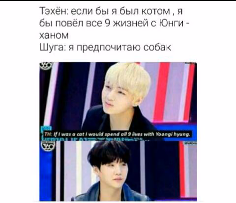 5ceadb31b23982751beb9aaeb06ae6fa.avif