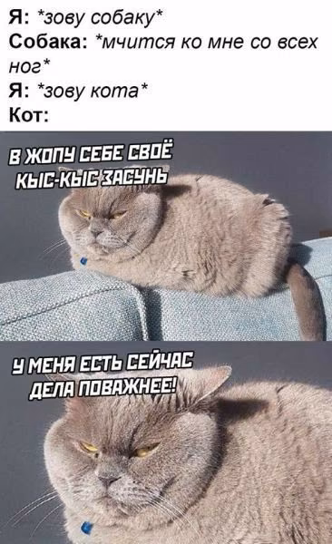 5d018d1555451e82ce39f9c982c98956.jpg