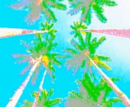 5d0c3e6f7ae9dd79f20b1894cd9fca24.avif