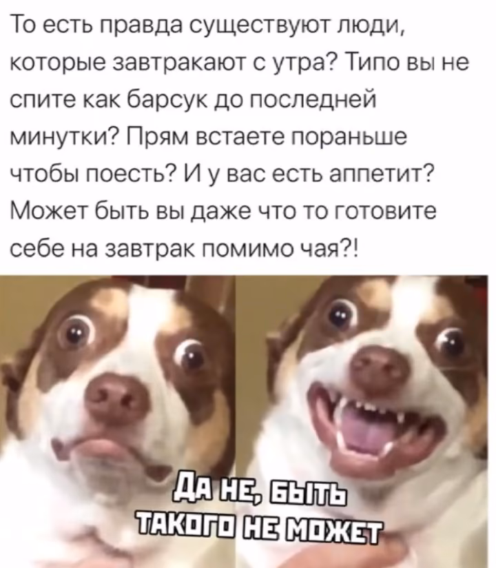 5d0cbc424a33ef1bc63f49a4a2c5a6bd.avif