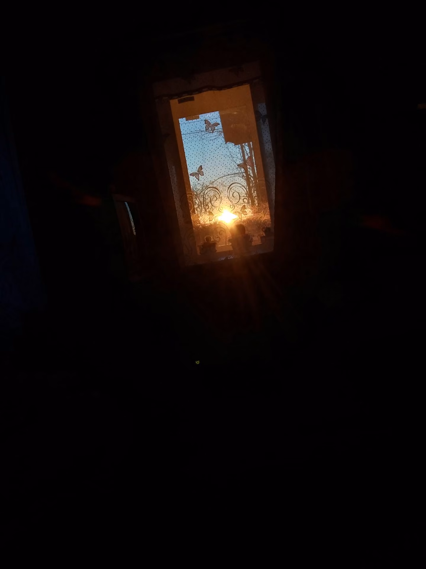 5d0f7b0b9cf8e716fc7dde479d66273e.avif