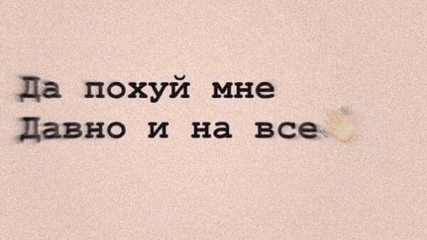 5d155791cf04cad52bf461ce91d2405c.avif