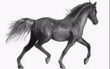 5d3942a44544ba2e645f7295f4434384.avif