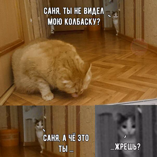 5d489e0408167e6bc659f5b4f4209b79.jpg