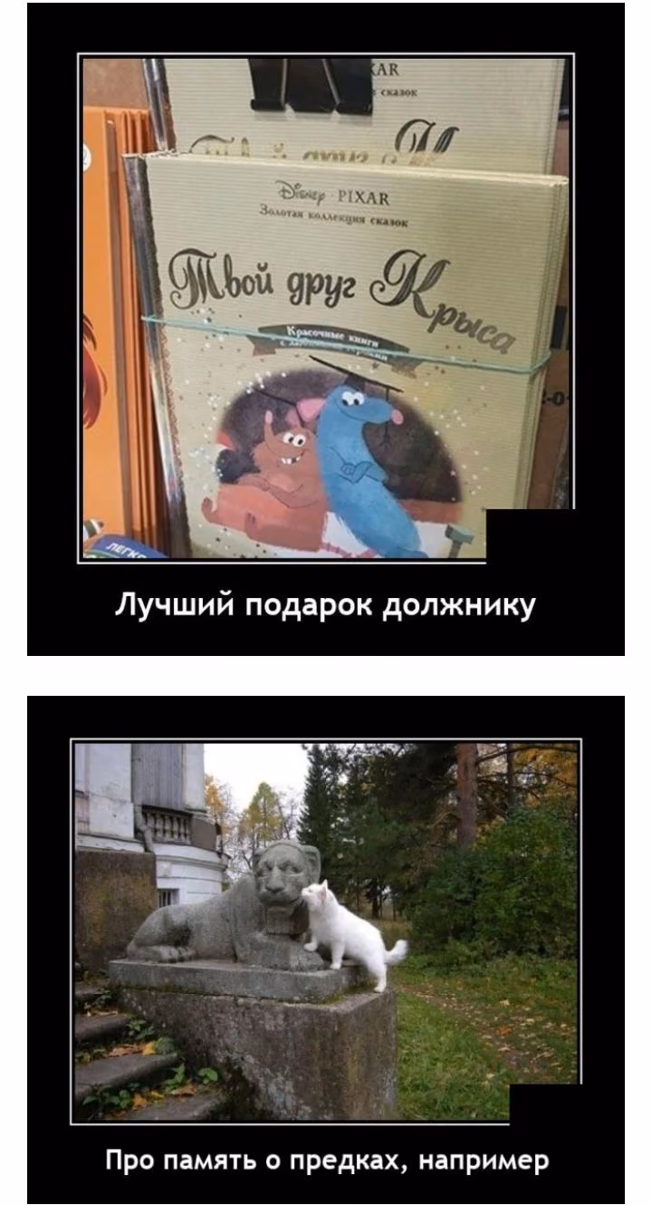 5d48c0ad8271aa89f552dc0c99e148b7.jpg