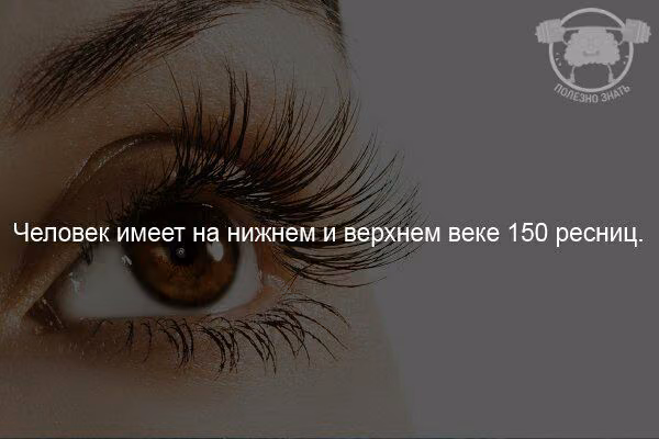 5d4bb473f23676b68c729c60ca2e4abc.jpg