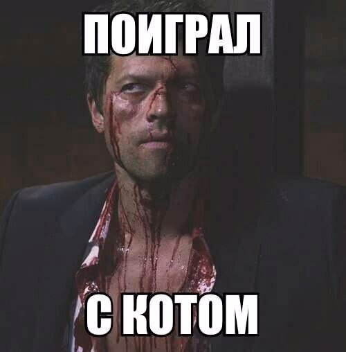 5d4d54f89b66ad64b588f136027f4e15.avif